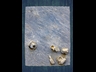 image017l