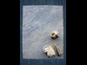 image030l