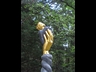 image033l