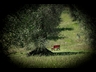 image043l